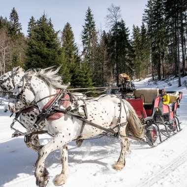 © Kleinwalsertal Tourismus eGen • Fotograf: Dominik Berchtold