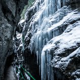 © Kleinwalsertal Tourismus eGen • Fotograf: Dominik Berchtold
