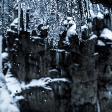 © Kleinwalsertal Tourismus eGen • Fotograf: Dominik Berchtold