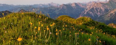© Kleinwalsertal Tourismus eGen • Fotograf: Erika Dürr
