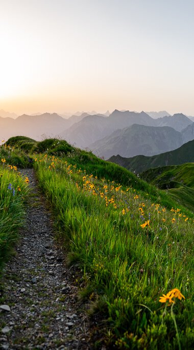 © Kleinwalsertal Tourismus eGen • Fotograf: Erika Dürr