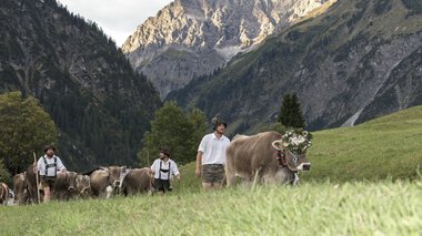 © Kleinwalsertal Tourismus eGen • Fotograf: Frank Drechsel © Kleinwalsertal Tourismus eGen • Fotograf: Frank Drechsel