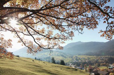 © Kleinwalsertal Tourismus eGen • Fotograf: Frank Drechsel