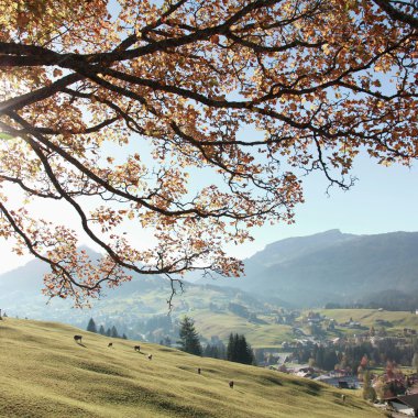 © Kleinwalsertal Tourismus eGen • Fotograf: Frank Drechsel