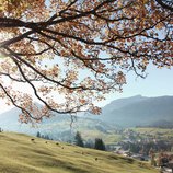 © Kleinwalsertal Tourismus eGen • Fotograf: Frank Drechsel