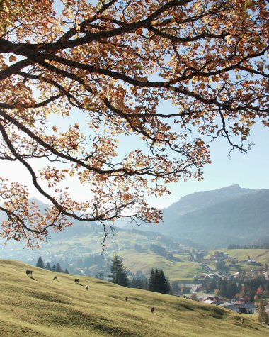 © Kleinwalsertal Tourismus eGen • Fotograf: Frank Drechsel