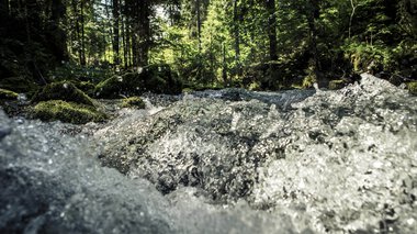 © Kleinwalsertal Tourismus eGen • Fotograf: Oliver Farys © Kleinwalsertal Tourismus eGen • Fotograf: Oliver Farys