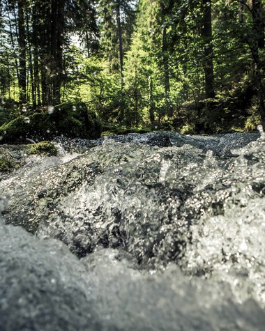 © Kleinwalsertal Tourismus eGen • Fotograf: Oliver Farys