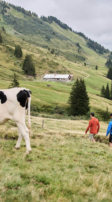 © Kleinwalsertal Tourismus eGen • Fotograf: Oliver Farys