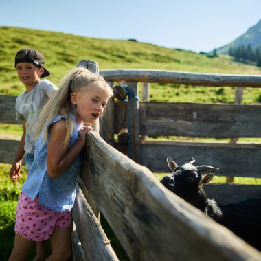© Kleinwalsertal Tourismus eGen • Fotograf: Oliver Farys
