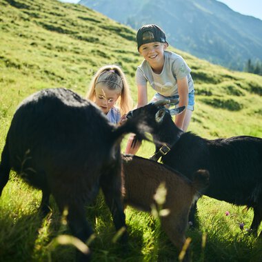 © Kleinwalsertal Tourismus eGen • Fotograf: Oliver Farys