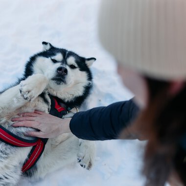 © Kleinwalsertal Tourismus eGen • Fotograf: Oliver Farys