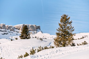 © Kleinwalsertal Tourismus eGen • Fotograf: Oliver Farys