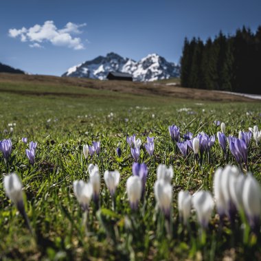© Kleinwalsertal Tourismus eGen • Fotograf: Robert Niederwolfsgruber
