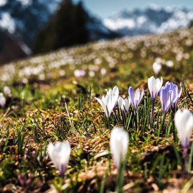© Kleinwalsertal Tourismus eGen • Fotograf: Robert Niederwolfsgruber
