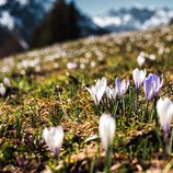 © Kleinwalsertal Tourismus eGen • Fotograf: Robert Niederwolfsgruber
