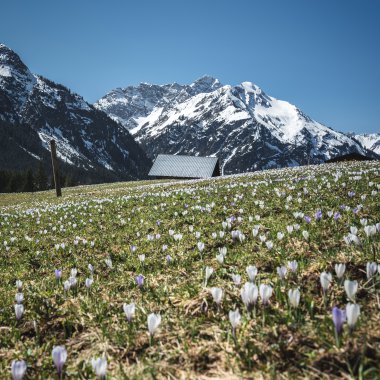 © Kleinwalsertal Tourismus eGen • Fotograf: Robert Niederwolfsgruber