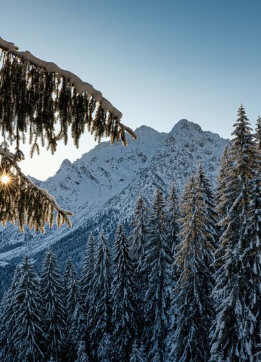 © Kleinwalsertal Tourismus eGen • Fotograf: Robert Niederwolfsgruber