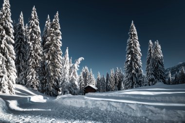 © Kleinwalsertal Tourismus eGen • Fotograf: Robert Niederwolfsgruber