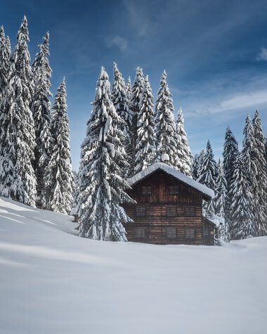 © Kleinwalsertal Tourismus eGen • Fotograf: Robert Niederwolfsgruber