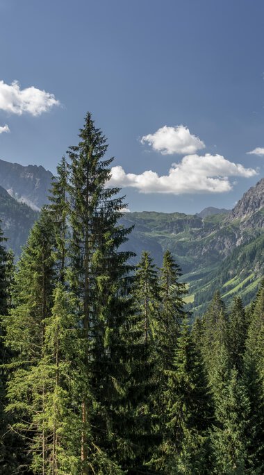 © Kleinwalsertal Tourismus eGen • Fotograf: Steffen Berschin 