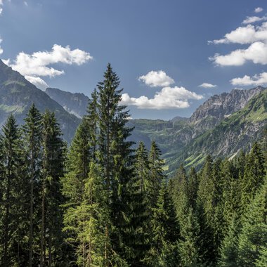 © Kleinwalsertal Tourismus eGen • Fotograf: Steffen Berschin 