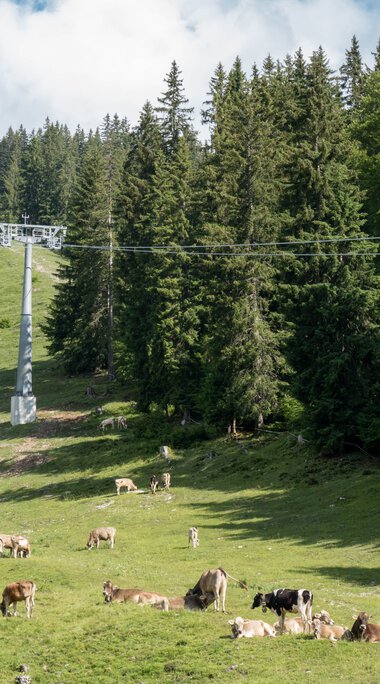 © Oberstdorf · Kleinwalsertal Bergbahnen