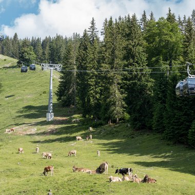© Oberstdorf · Kleinwalsertal Bergbahnen