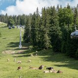 © Oberstdorf · Kleinwalsertal Bergbahnen