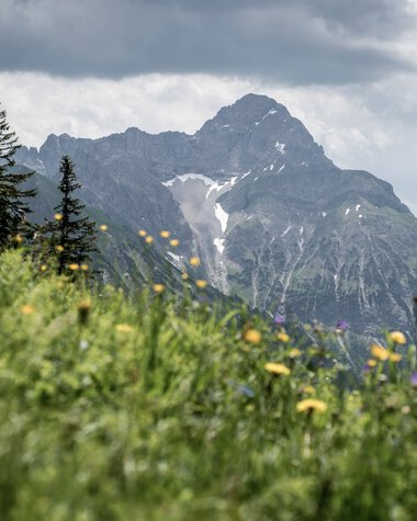 © Kleinwalsertal Tourismus eGen • Fotograf: Dominik Berchtold