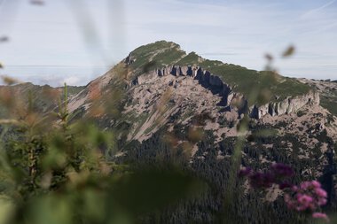 © Kleinwalsertal Tourismus eGen • Fotograf: Oliver Farys