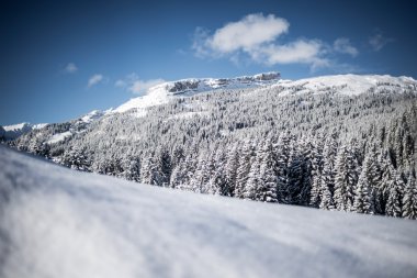 © Kleinwalsertal Tourismus eGen • Fotograf: Dominik Berchtold