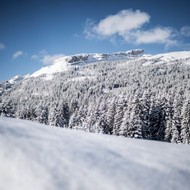 © Kleinwalsertal Tourismus eGen • Fotograf: Dominik Berchtold