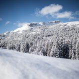 © Kleinwalsertal Tourismus eGen • Photographer: Dominik Berchtold