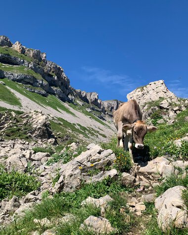 © Kleinwalsertal Tourismus eGen