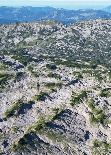 © Kleinwalsertal Tourismus eGen