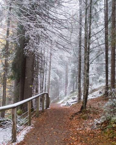 © Kleinwalsertal Tourismus eGen