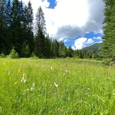 © Kleinwalsertal Tourismus eGen