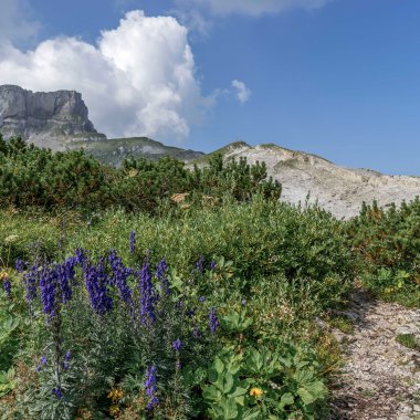 © Kleinwalsertal Tourismus eGen • Fotograf: Steffen Berschin