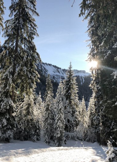 © Kleinwalsertal Tourismus eGen