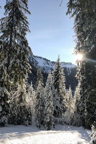 © Kleinwalsertal Tourismus eGen