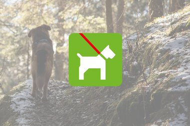 ©  Kleinwalsertal Tourismus eGen