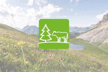 ©  Kleinwalsertal Tourismus eGen