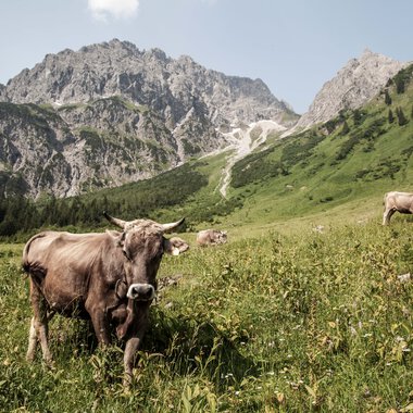 © Kleinwalsertal Tourismus eGen • Fotograf: Frank Drechsel