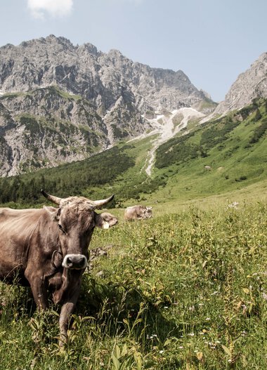 © Kleinwalsertal Tourismus eGen • Fotograf: Frank Drechsel