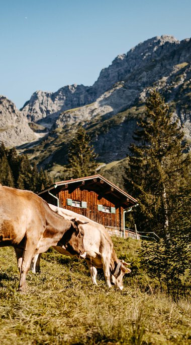© Kleinwalsertal Tourismus eGen • Fotograf: Sascha Gast