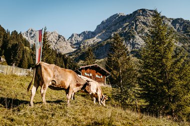 © Kleinwalsertal Tourismus eGen • Fotograf: Sascha Gast © Kleinwalsertal Tourismus eGen • Fotograf: Sascha Gast